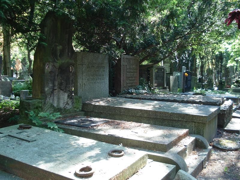 Zdjęcie grobu Władysław Piątkowski (1)