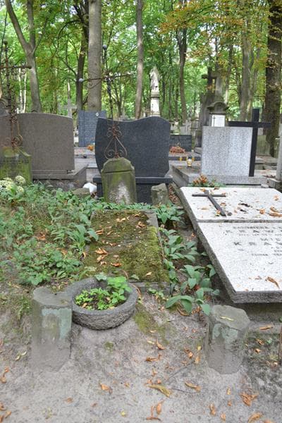Zdjęcie grobu Aniela Zagórna (1)