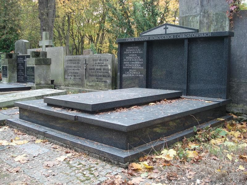 Zdjęcie grobu Janina Homolicka (1)