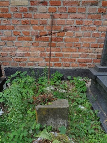 Zdjęcie grobu Józio Lewiński (2)