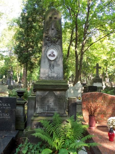 Zdjęcie grobu Władysław Jastrzębiec Wodziński (2)