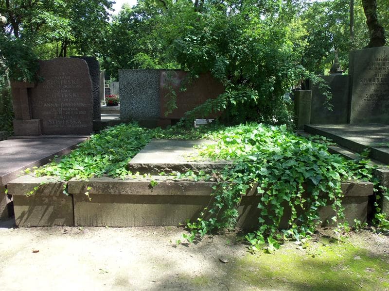 Zdjęcie grobu: Maria Kozłowska