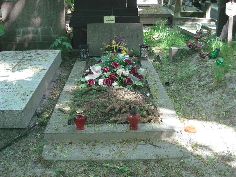 Zdjęcie grobu: Henryk Drożdż