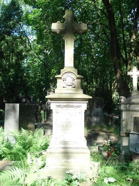 Zdjęcie grobu Władysław Alexandrowicz (2)