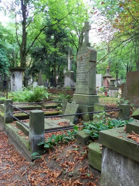 Zdjęcie grobu Maria Danielewiczowa (1)