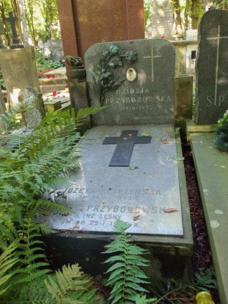 Zdjęcie grobu Dzidzia Przyborowska (1)