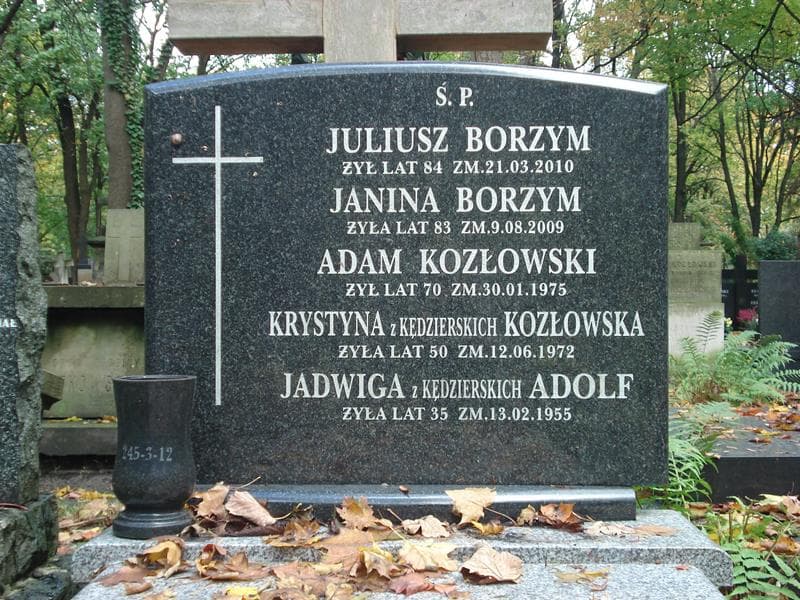 Zdjęcie grobu Janina Borzym (2)