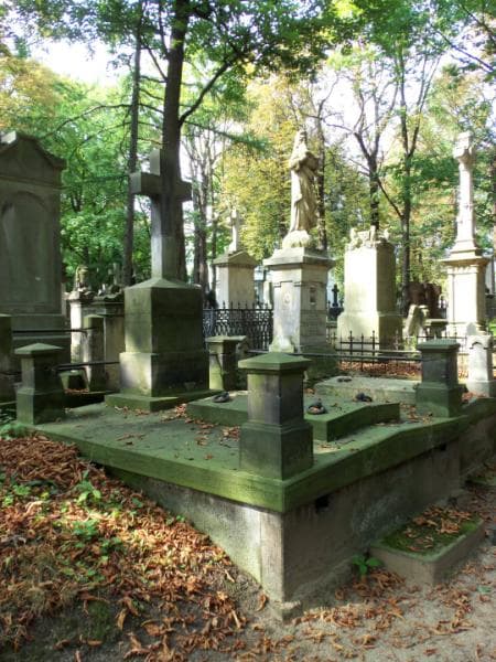 Zdjęcie grobu Seweryna Lipińska (1)