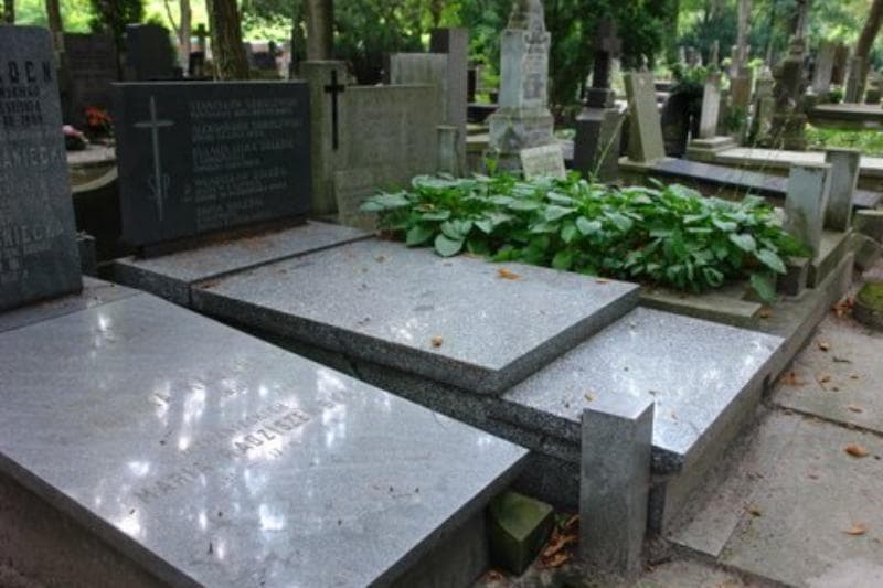 Zdjęcie grobu Władysław Doleżal (1)