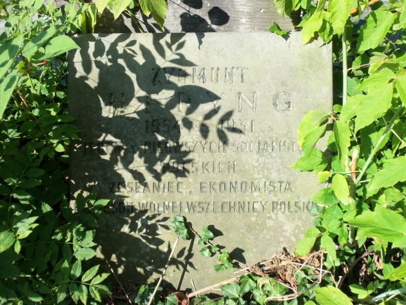 Zdjęcie grobu Zygmunt Hepyng (1)