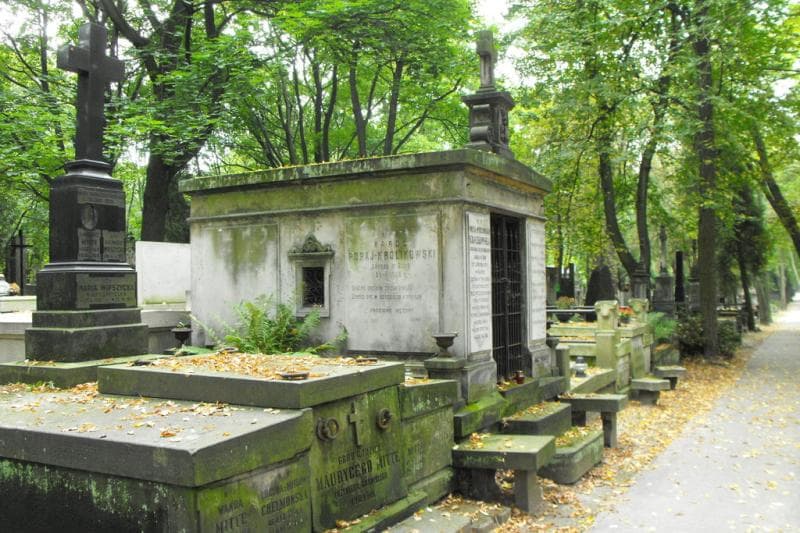 Zdjęcie grobu Aniela Królikowska (1)