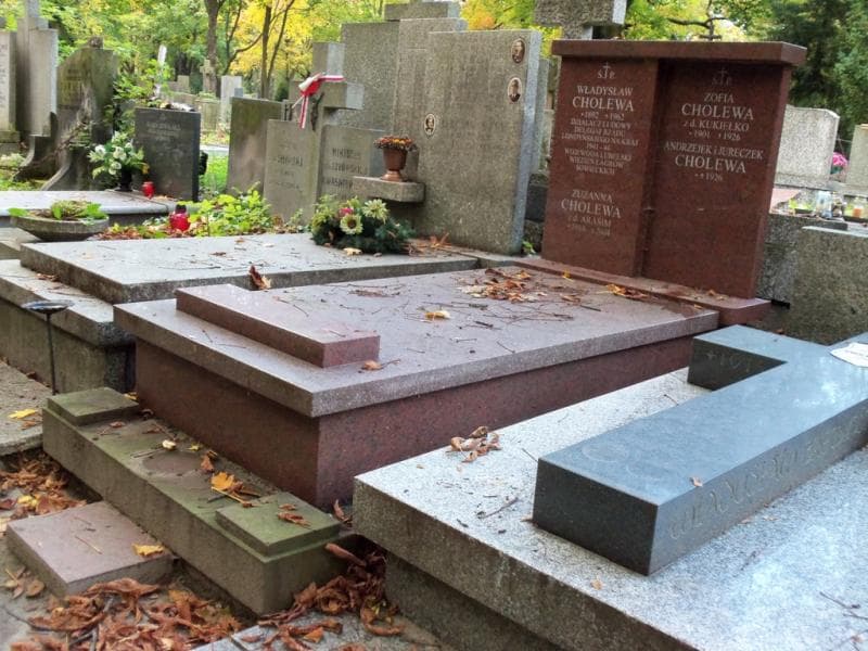 Zdjęcie grobu Andrzejek Cholewa (1)