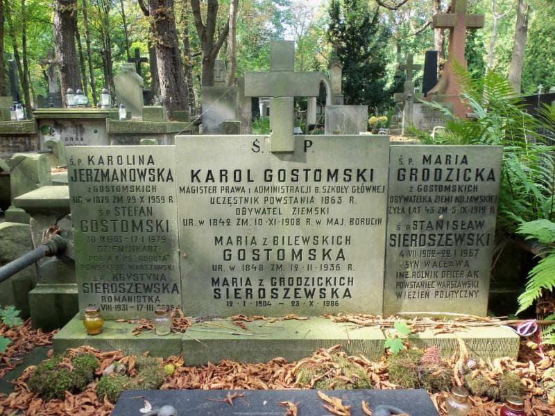 Zdjęcie grobu Stefan Gostomski (1)