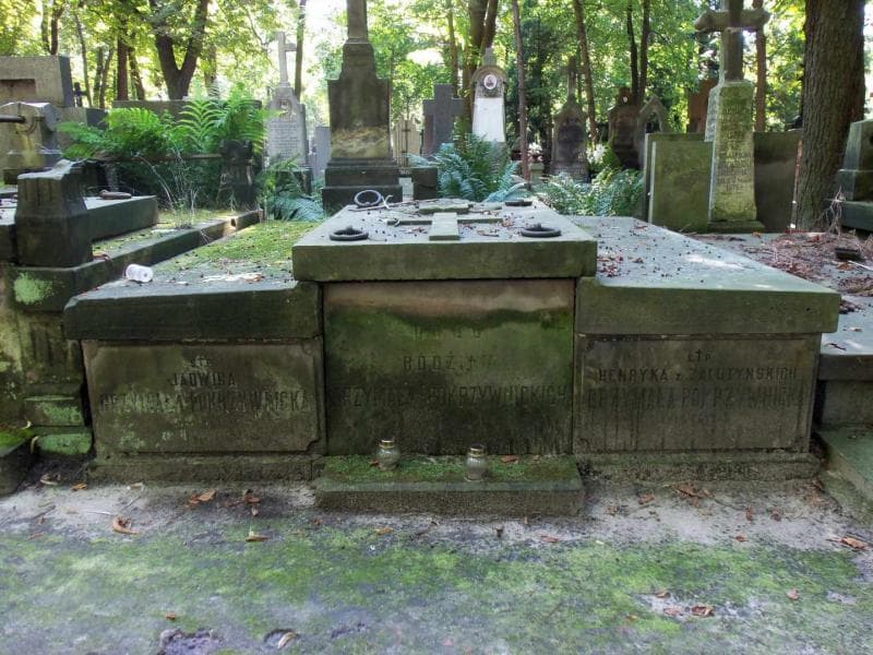 Zdjęcie grobu: Ernest Pokrzywnicki