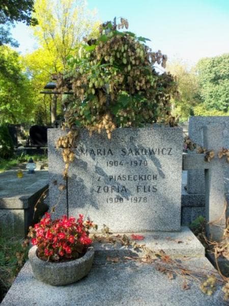 Zdjęcie grobu Zofia Flis (2)