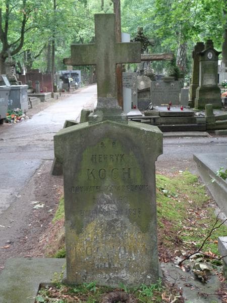 Zdjęcie grobu Leontyna Koch (2)