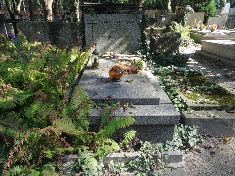 Zdjęcie grobu Antoni Rudziński (1)