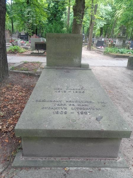 Zdjęcie grobu Kazimierz Kudelski-Szkudelski (1)