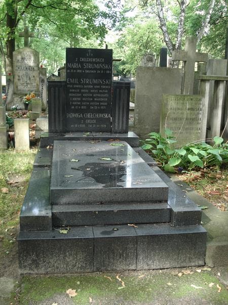 Zdjęcie grobu Emil Strumiński (1)
