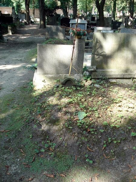 Zdjęcie grobu Czesław Dalewski (1)