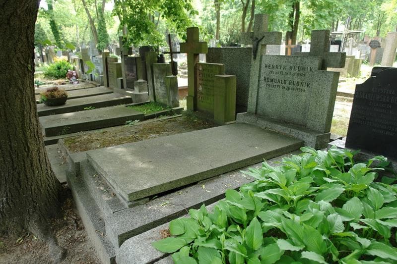 Zdjęcie grobu: Henryk Rudnik