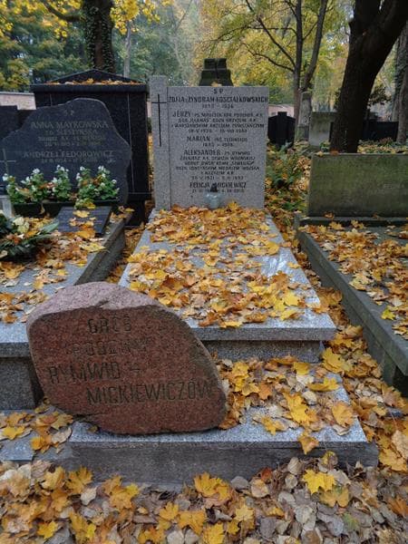 Zdjęcie grobu Jerzy Rymwid-Mickiewicz (1)