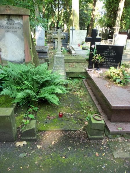 Zdjęcie grobu: Alfons Lubiński