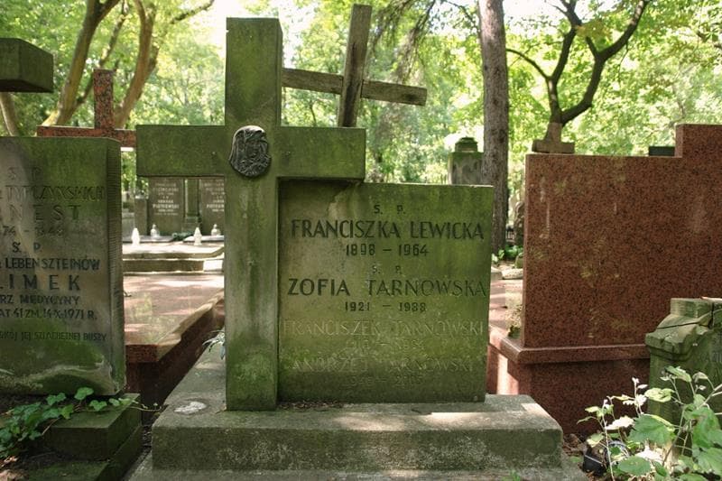 Zdjęcie grobu Franciszek Tarnowski (2)