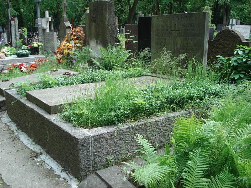 Zdjęcie grobu Antonina Stępkowska (1)