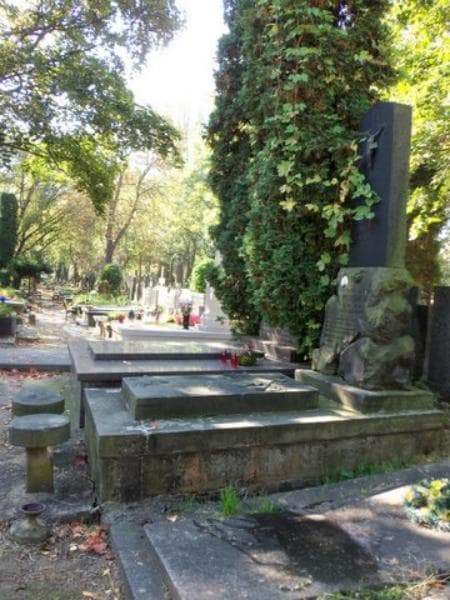 Zdjęcie grobu Teofil Pilitowski (1)