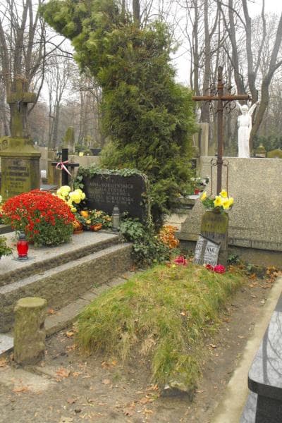 Zdjęcie grobu Anna Lutyńska (1)