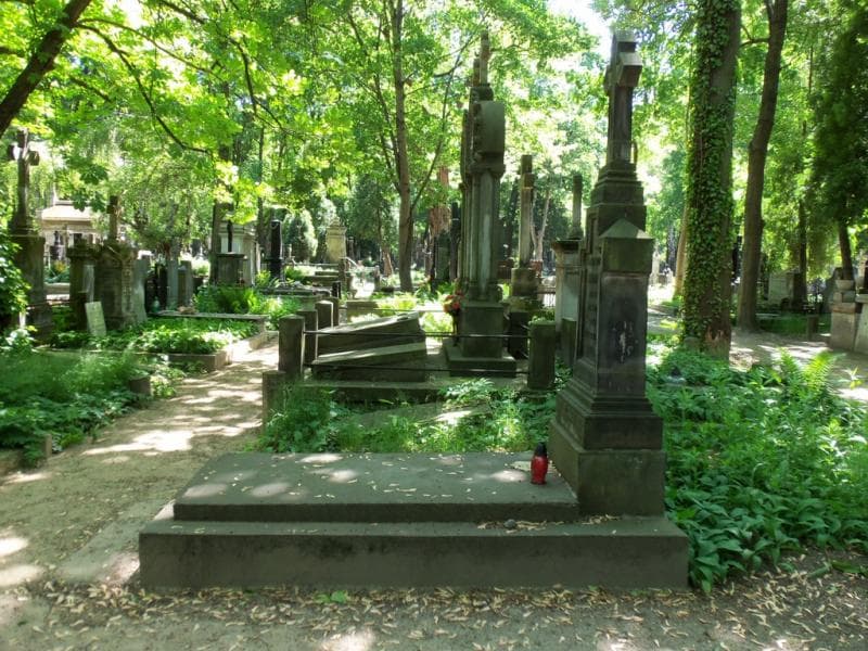 Zdjęcie grobu Krystyna Leskiewicz-Mikusek (1)