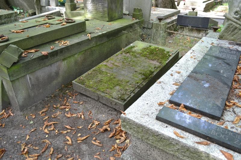 Zdjęcie grobu: Marjanna Żygalińska