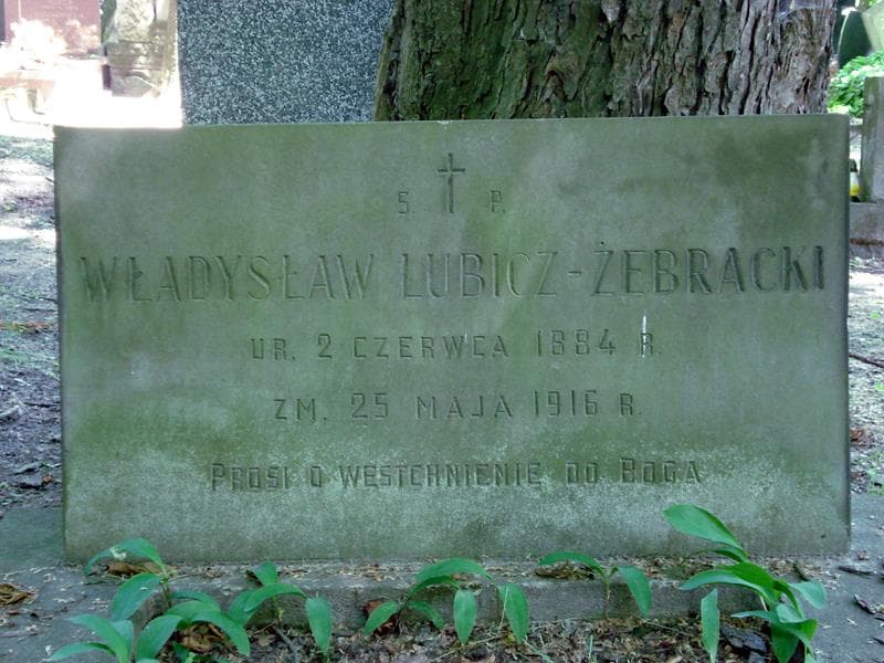Zdjęcie grobu Władysław Lubicz-Żebracki (1)