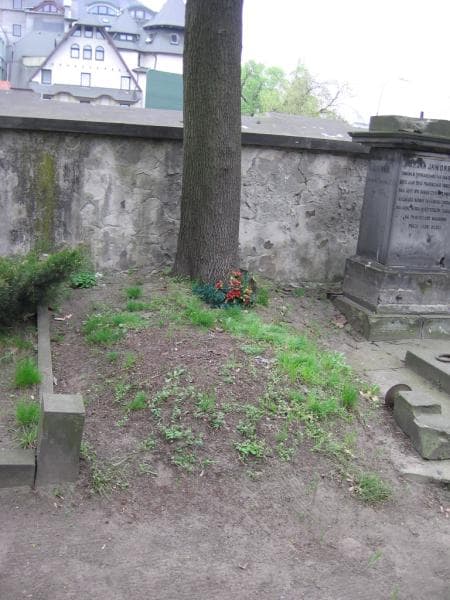 Zdjęcie grobu Franciszek Jasnowski (2)