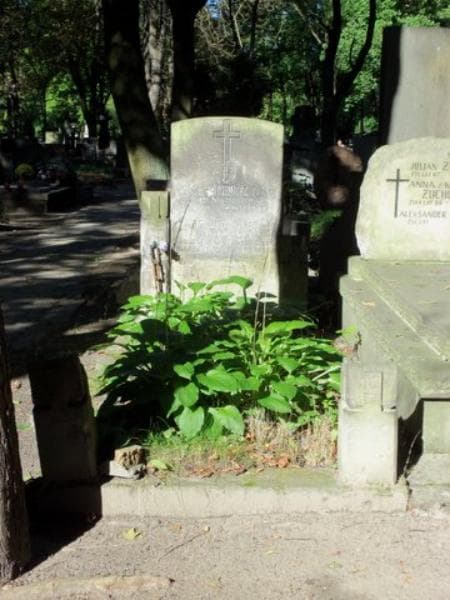 Zdjęcie grobu: Romuald Furst