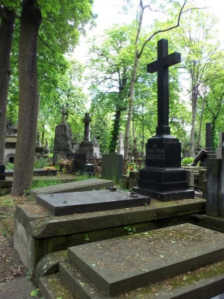 Zdjęcie grobu Wacław Chrzanowski (1)