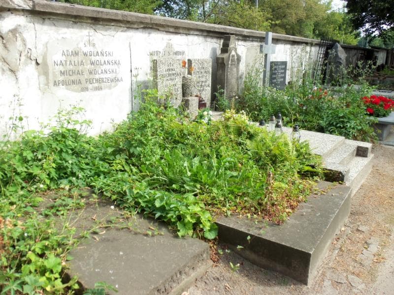 Zdjęcie grobu Michał Wolański (1)