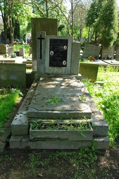 Zdjęcie grobu: Jan Szczepański