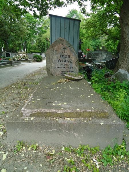 Zdjęcie grobu: Leon Olasz