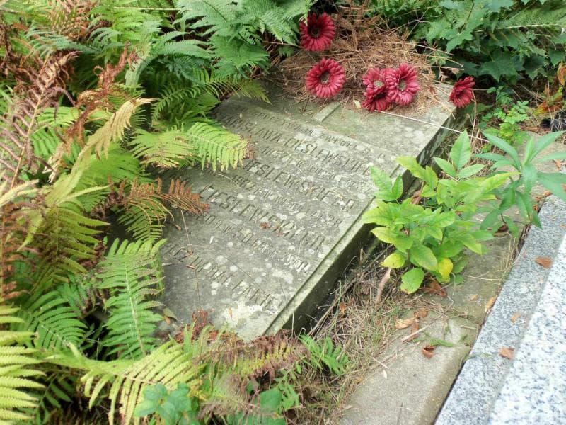 Zdjęcie grobu Stanisław Cieślewski (2)