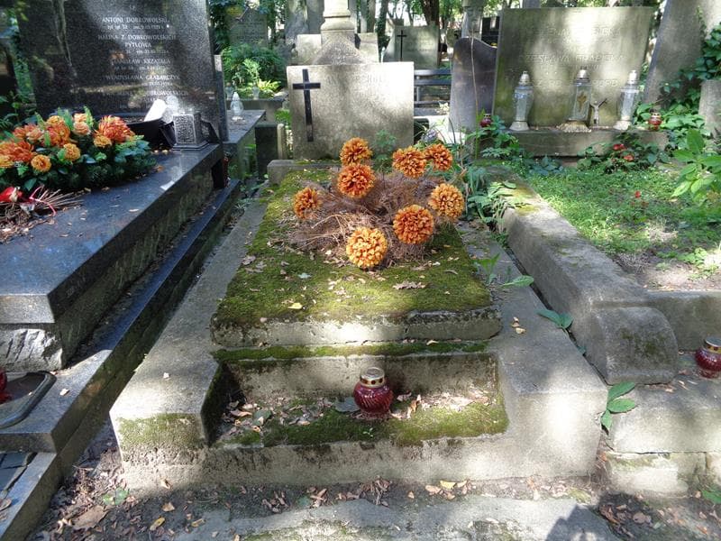 Zdjęcie grobu Anna Scholl (1)