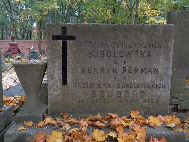 Zdjęcie grobu Henryk Perman (2)