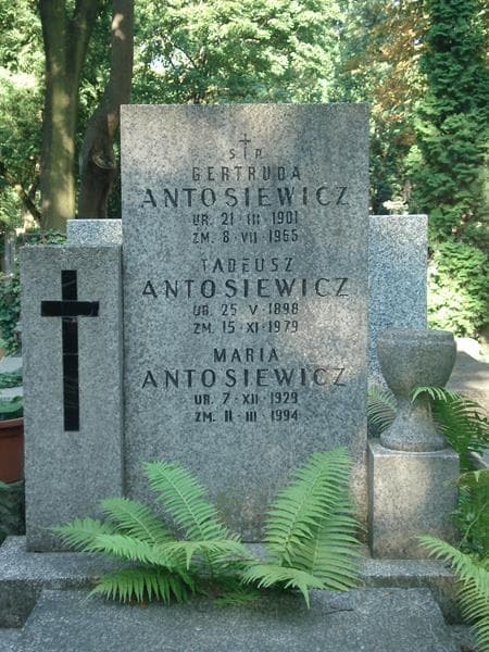 Zdjęcie grobu Gertruda Antosiewicz (1)