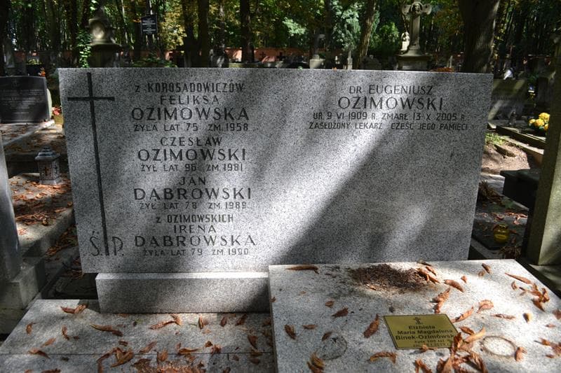 Zdjęcie grobu Jan Dąbrowski (2)