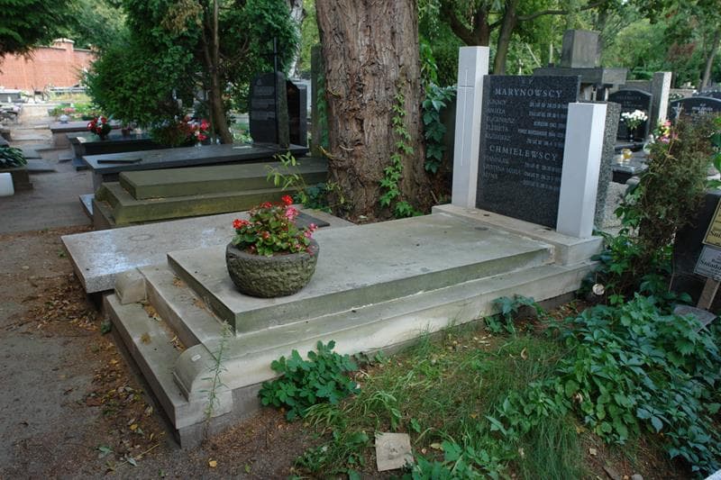 Zdjęcie grobu: Aniela Marynowska