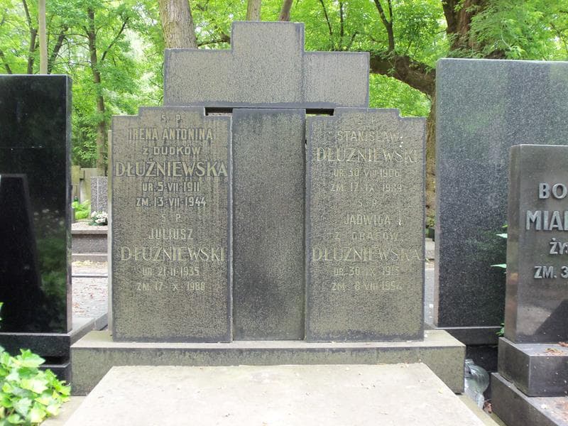 Zdjęcie grobu Stanisław Dłużniewski (2)