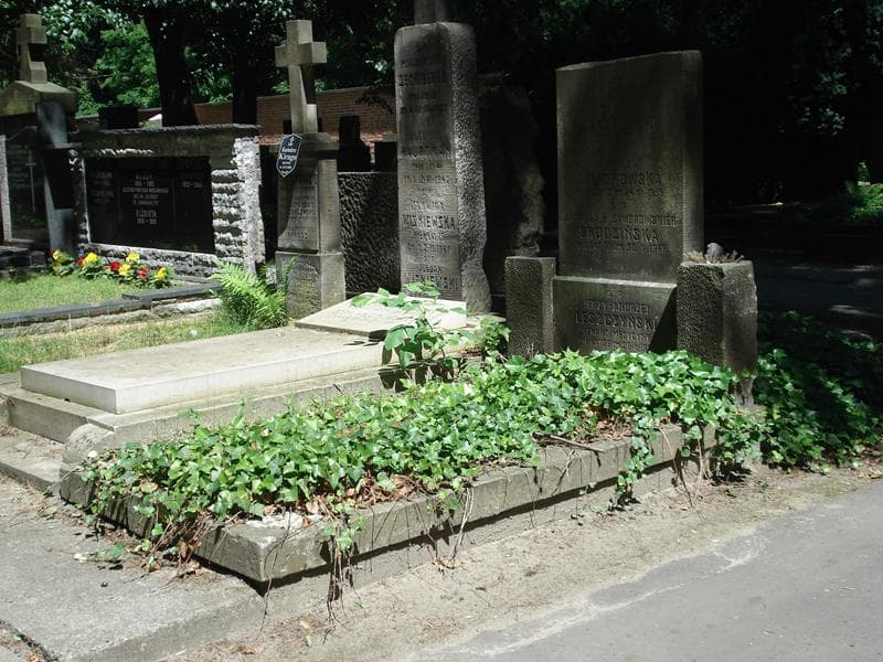 Zdjęcie grobu Jerzy Andrzej Leszczyński (1)