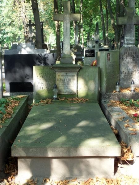 Zdjęcie grobu: Rafał Szerypo