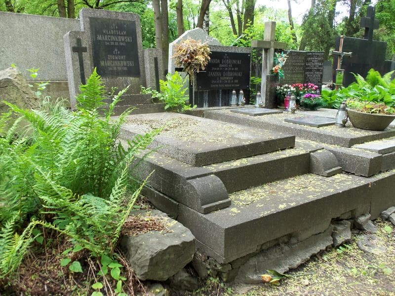 Zdjęcie grobu Władysław Marcinkowski (1)